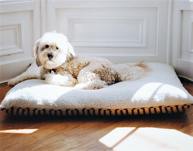 Matelas pour tous